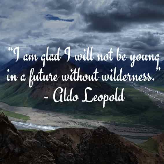 i-am-glad-i-will-not-be-young-in-a-future-without-wilderness i am glad i will not be young in a future without wilderness
