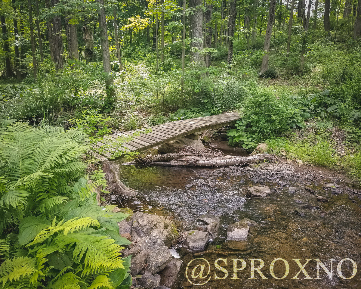 India Brook Park Buttermilk Falls Hike Pushing Myself