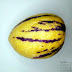 Pepino - owoc