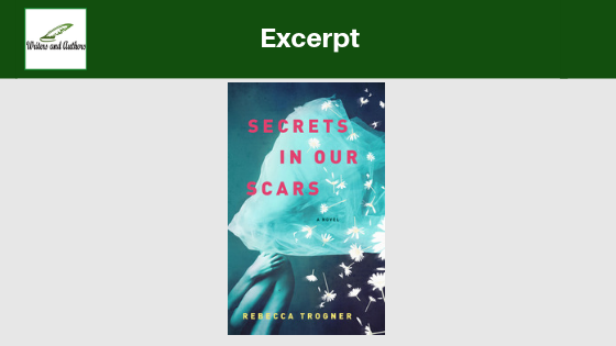 Excerpt: Secrets In Our Scars by Rebecca Trogner.  Includes giveaway!