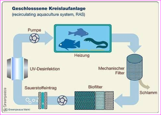 Care 4 Live Protect Heal