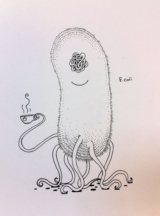 e coli coloring pages - photo #26