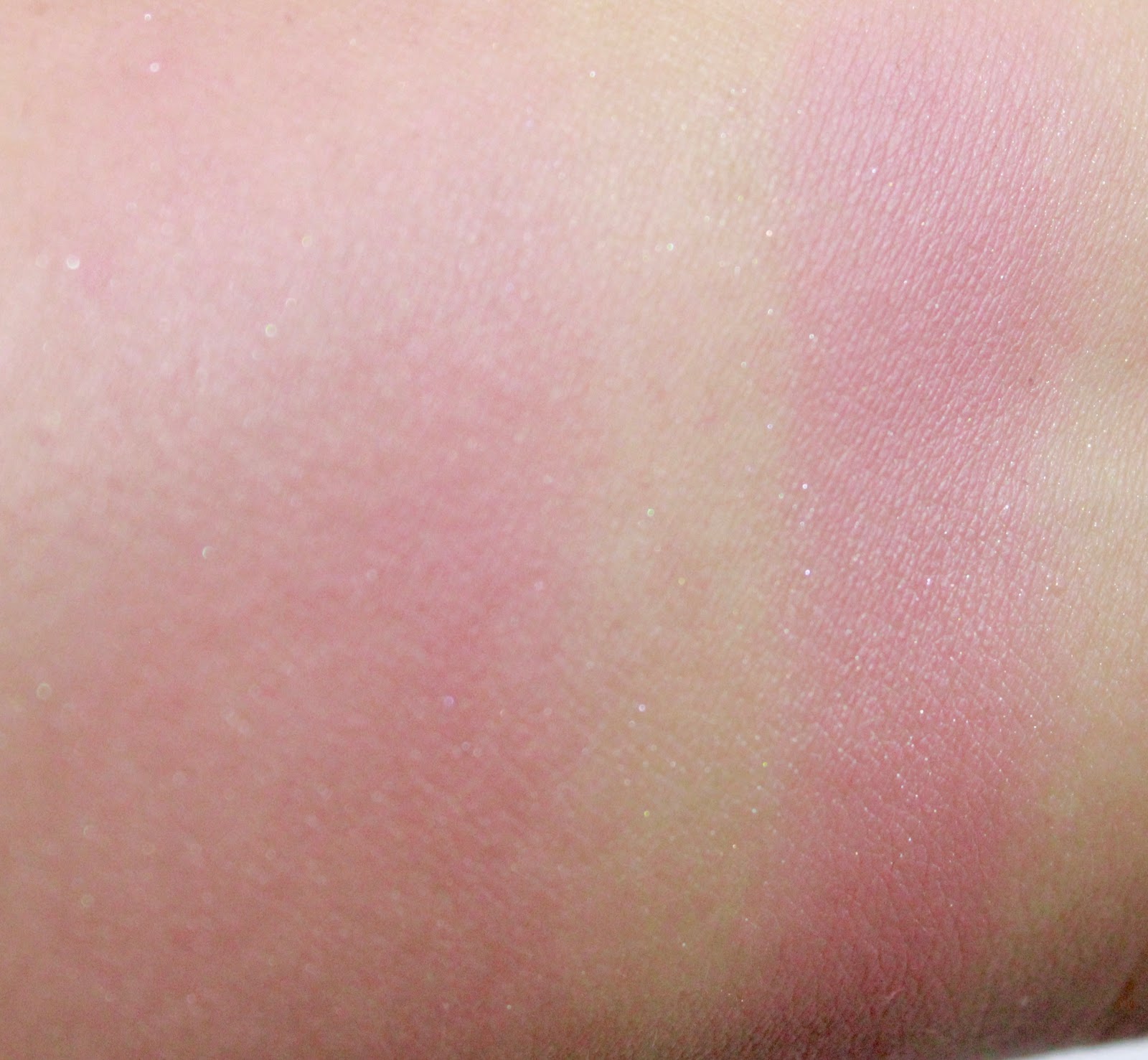 Review Jordana Blush Powder, Rose Silk