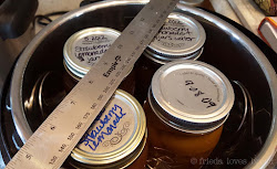 canning instant pot water pressure bath cooker steam safe jars jelly jar quart double bread cooking frieda loves stacked oz