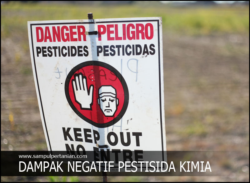 Mengapa penggunaan pestisida tidak boleh berlebihan