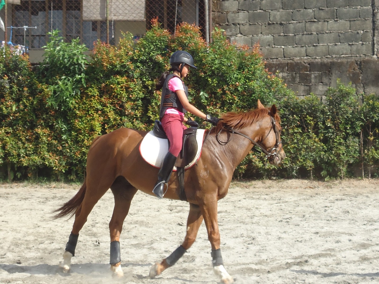 Horse Riding Philippines Yana's Horse Riding Lesson Canter (Moving