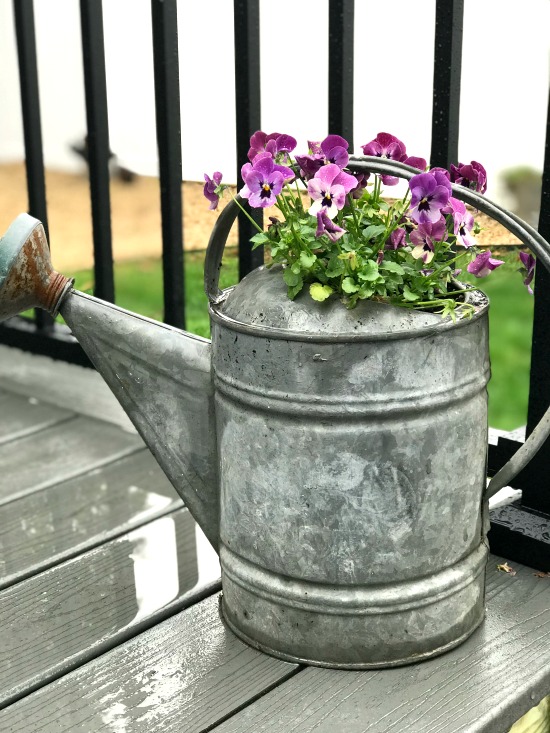Galvanized Watering Can Planter