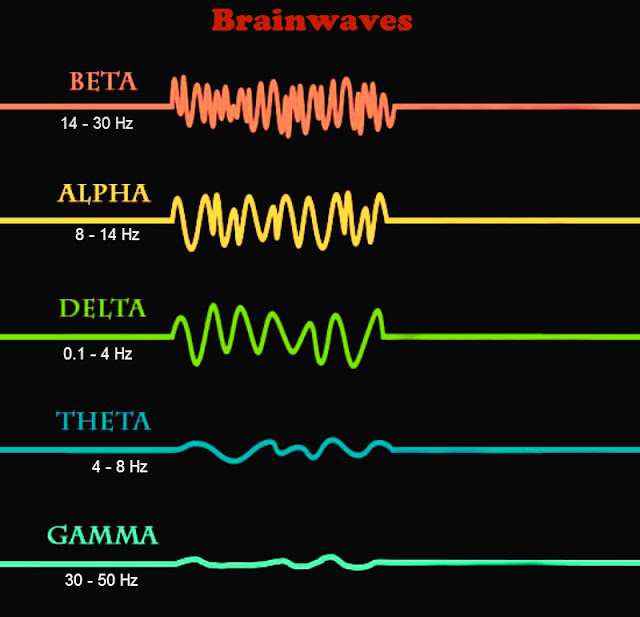 Мозг альфа бета. Альфа волна и тета волна. Мозговые ритмы Альфа, бета, тета, Дельта, гамма. Ритмы головного мозга частоты волны. Альфа бета гамма Дельта волны мозга.