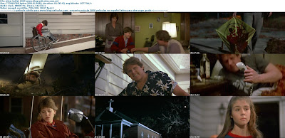 Silver Bullet dvdrip latino