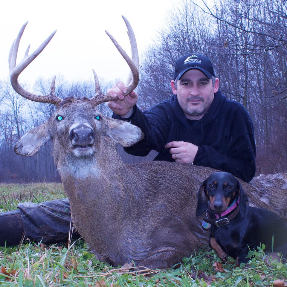 MICHIGAN DEER TRACK'N HOUNDS LLC Michigan's Professional Deer Blood