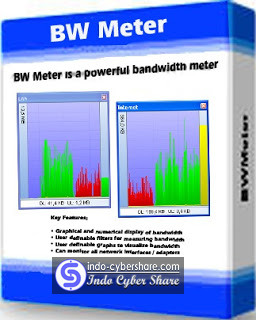BWMeter Full Version BWMeter Full Version