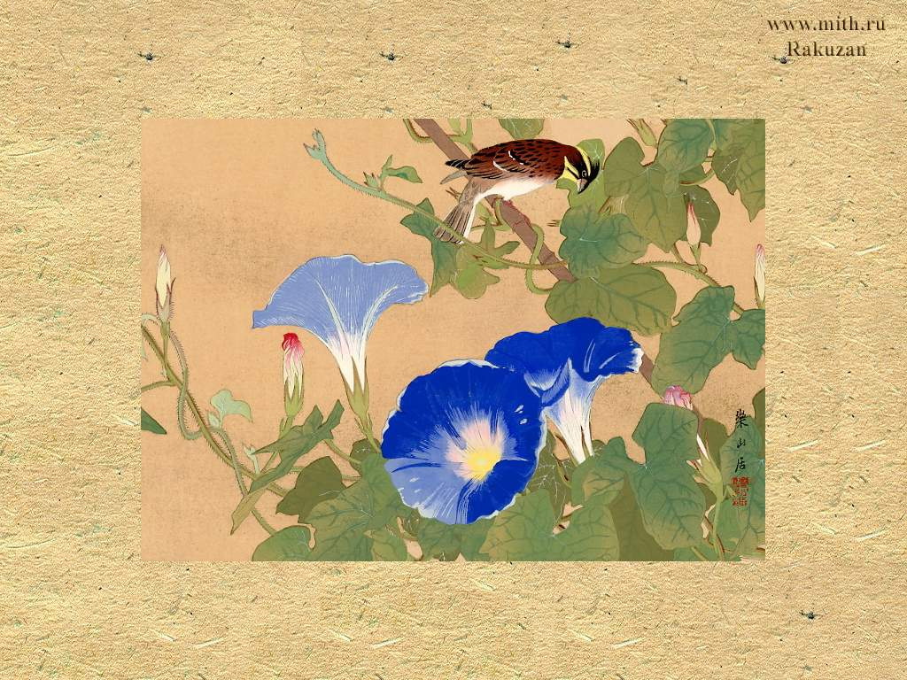 Вьюн схема цветная. Стиль гунби китайская живопись Вьюнок. Вьюнок в китайской живописи. Вьюнок в японской живописи. Вьюнок японская гравюра.