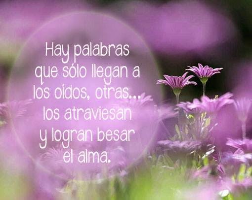 Resultado de imagen para IRMELENA