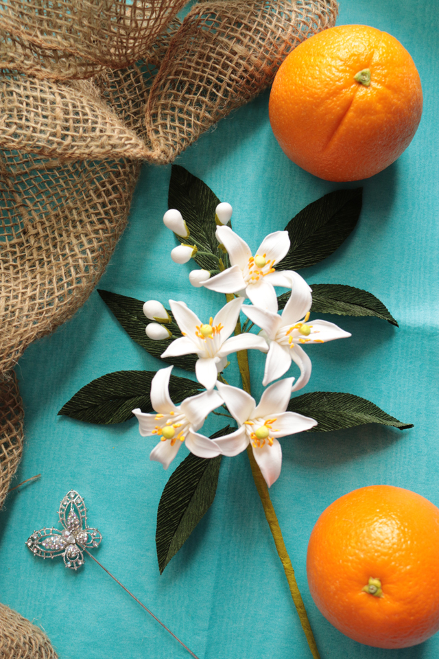 Orange Blossoms botanical representation for a vintage wedding