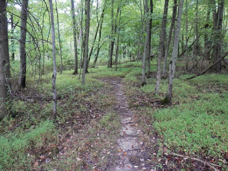 Southeastern PA Hiking Peace Valley Park