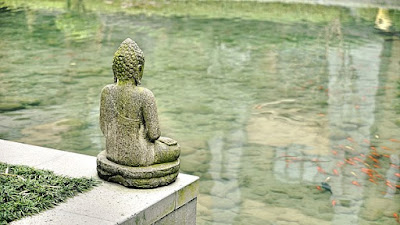 Wie man das Wasser von der Ananasschale trinkt, um Gewicht zu verlieren