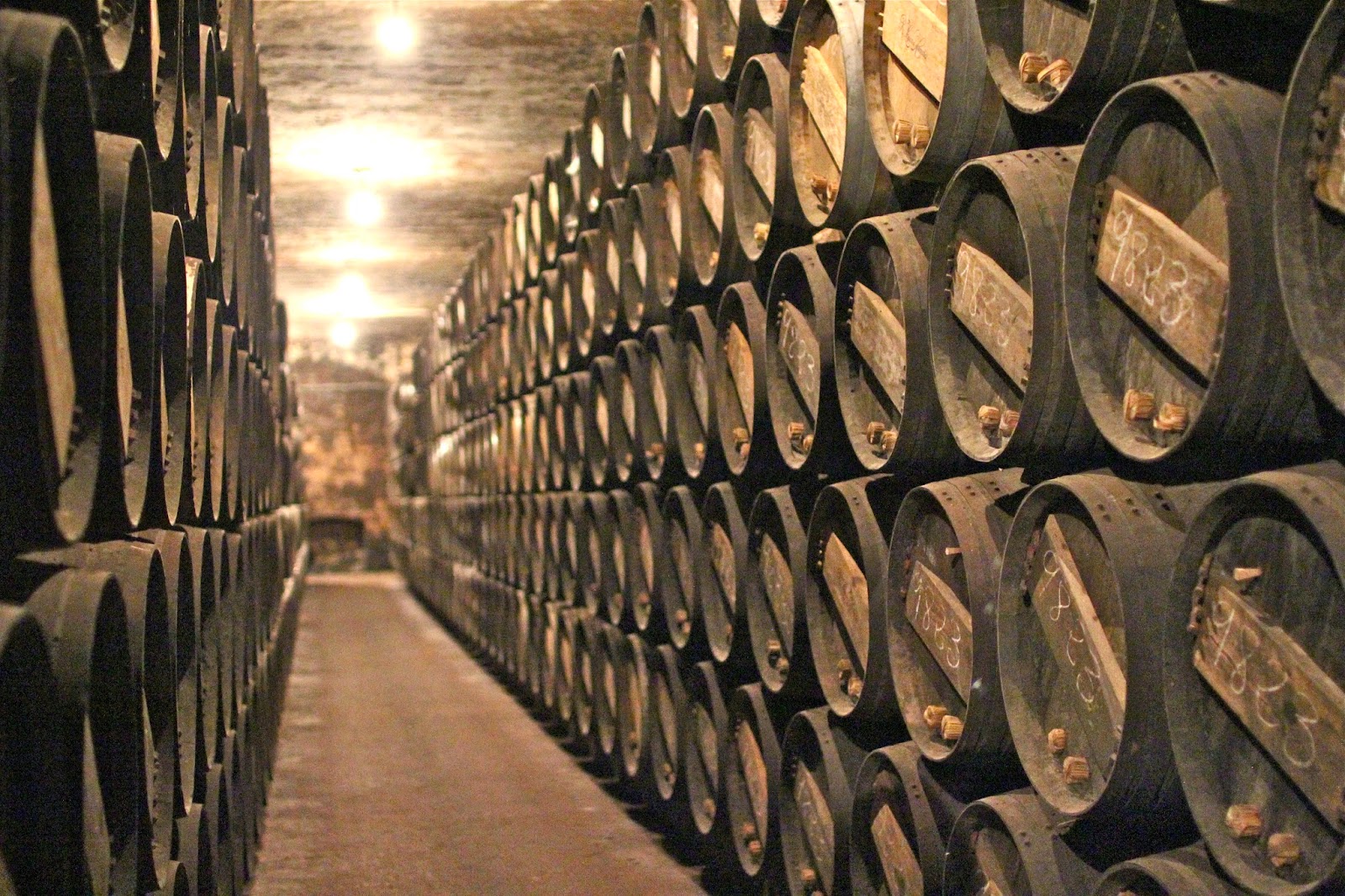 Wine Tasting in Haro, La Rioja ADELANTE