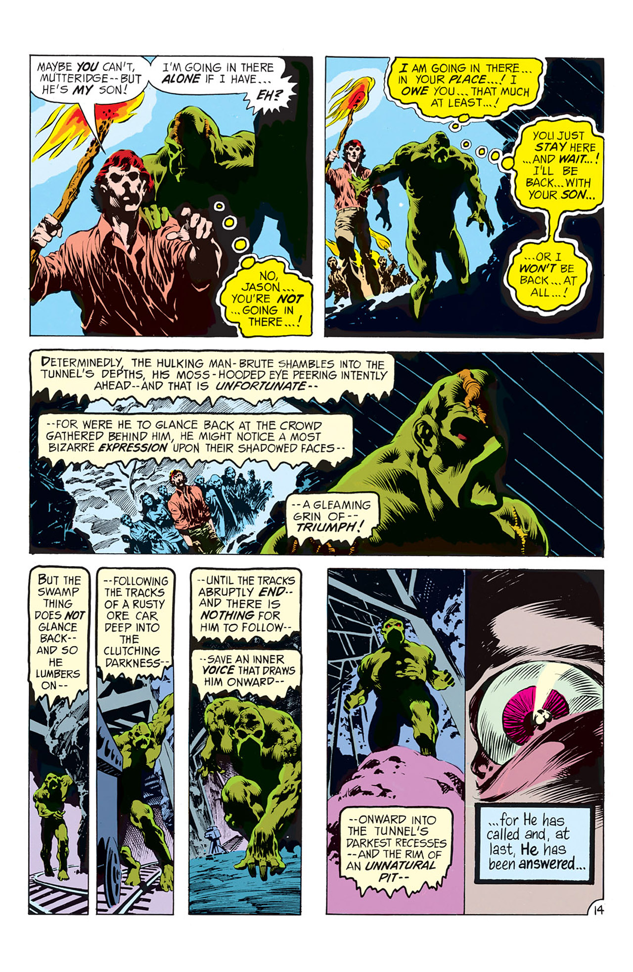 Read online Swamp Thing (1972) comic -  Issue #8 - 15