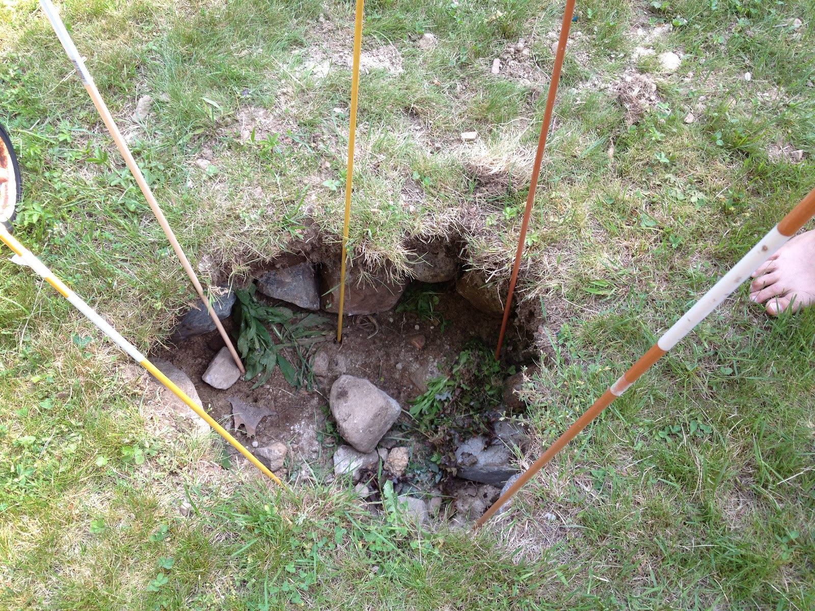 petra's Q blog Operation Sink Hole Fill