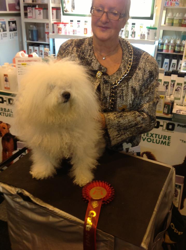 Professional Dog Grooming Shampoo MD10 Collection Champu para Perros