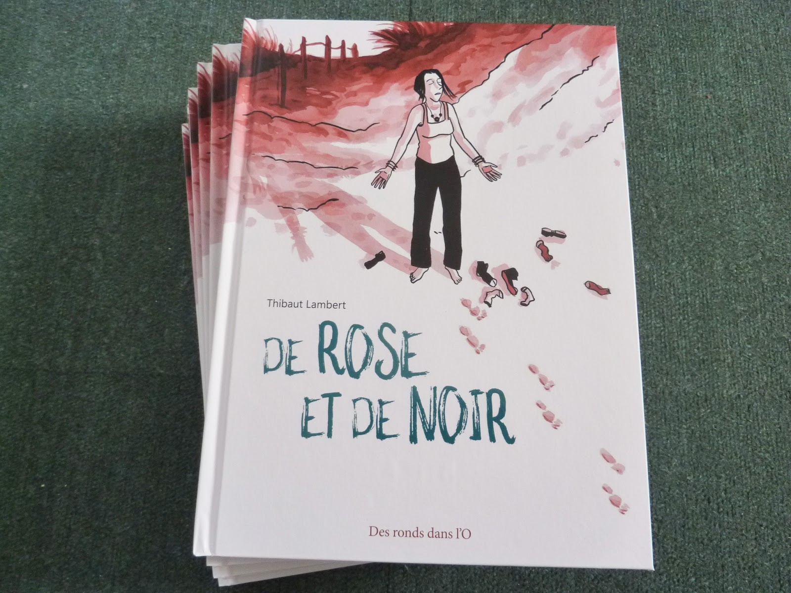 De rose et de noir - Voir les 6 photos (sur le blog)