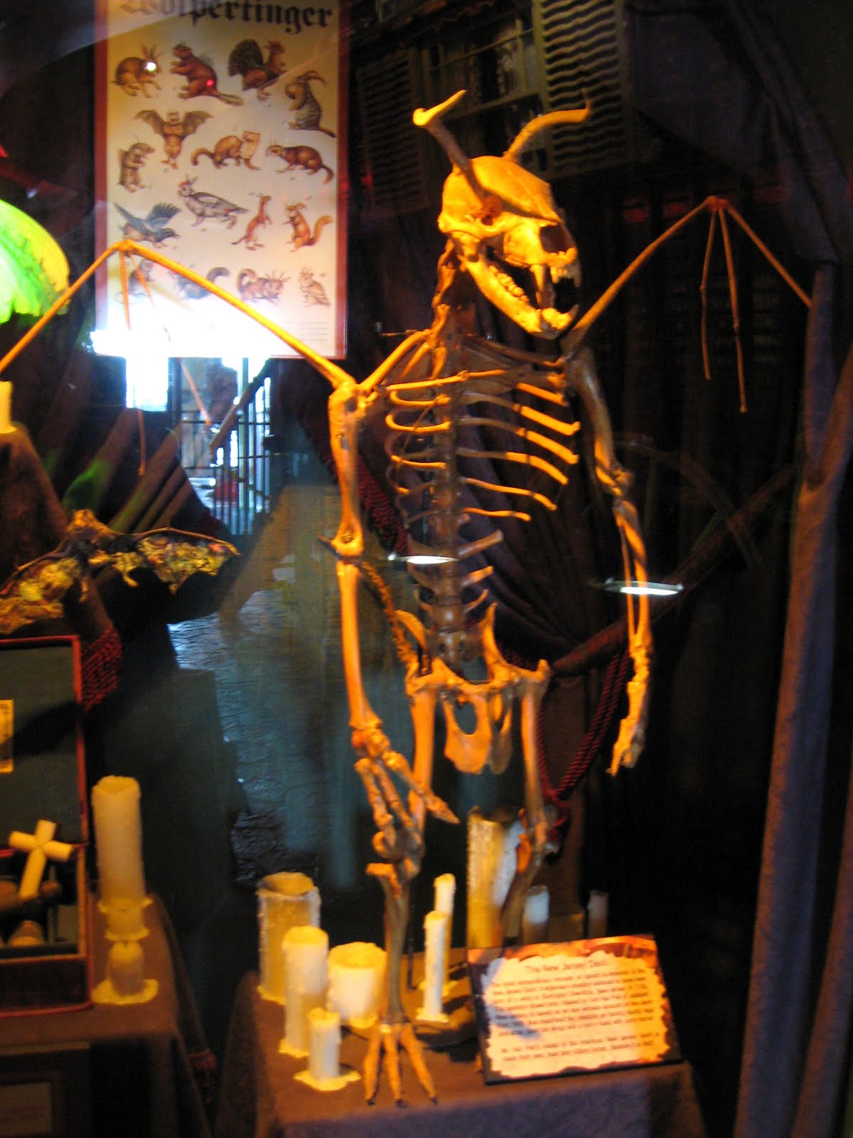 Outta the Way Jersey Devil