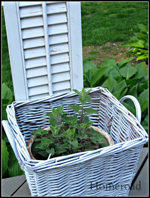 White basket and white shutter