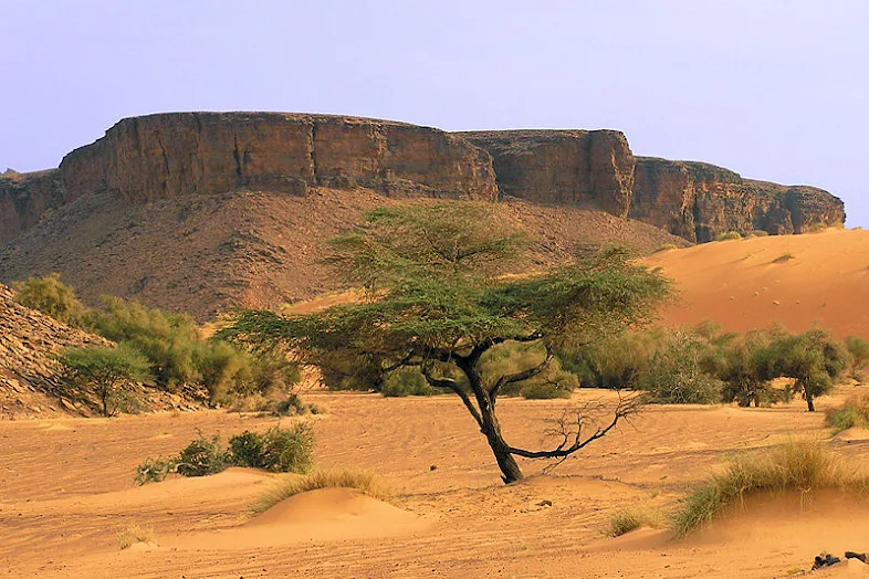 Pegunungan di wilayah Adrar