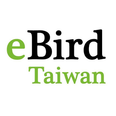 Birding Taiwan: eBird for Taiwan