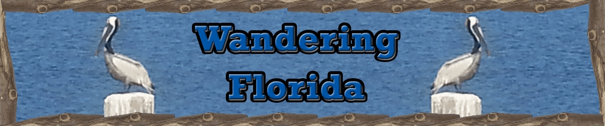 Wandering Florida - The Blog