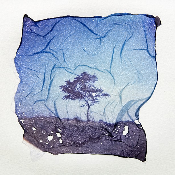 polaroid emulsion lifts