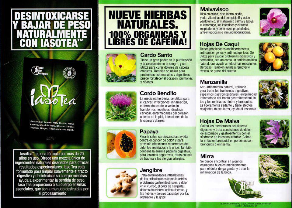 TOTAL LIFE CHANGES Preparación Iaso Tea