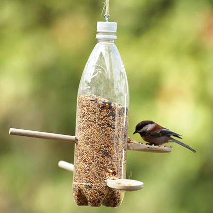 Lanchonete para pássaros 10 maneiras de reciclar garrafas pet: Lanchonete para pássaros