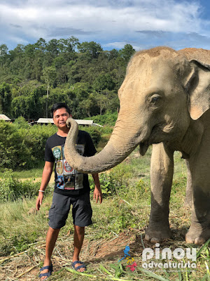 Elephants Caring, Bathing, Swim at Big Waterfall Plus Bamboo Rafting Adventure in Chiang Mai
