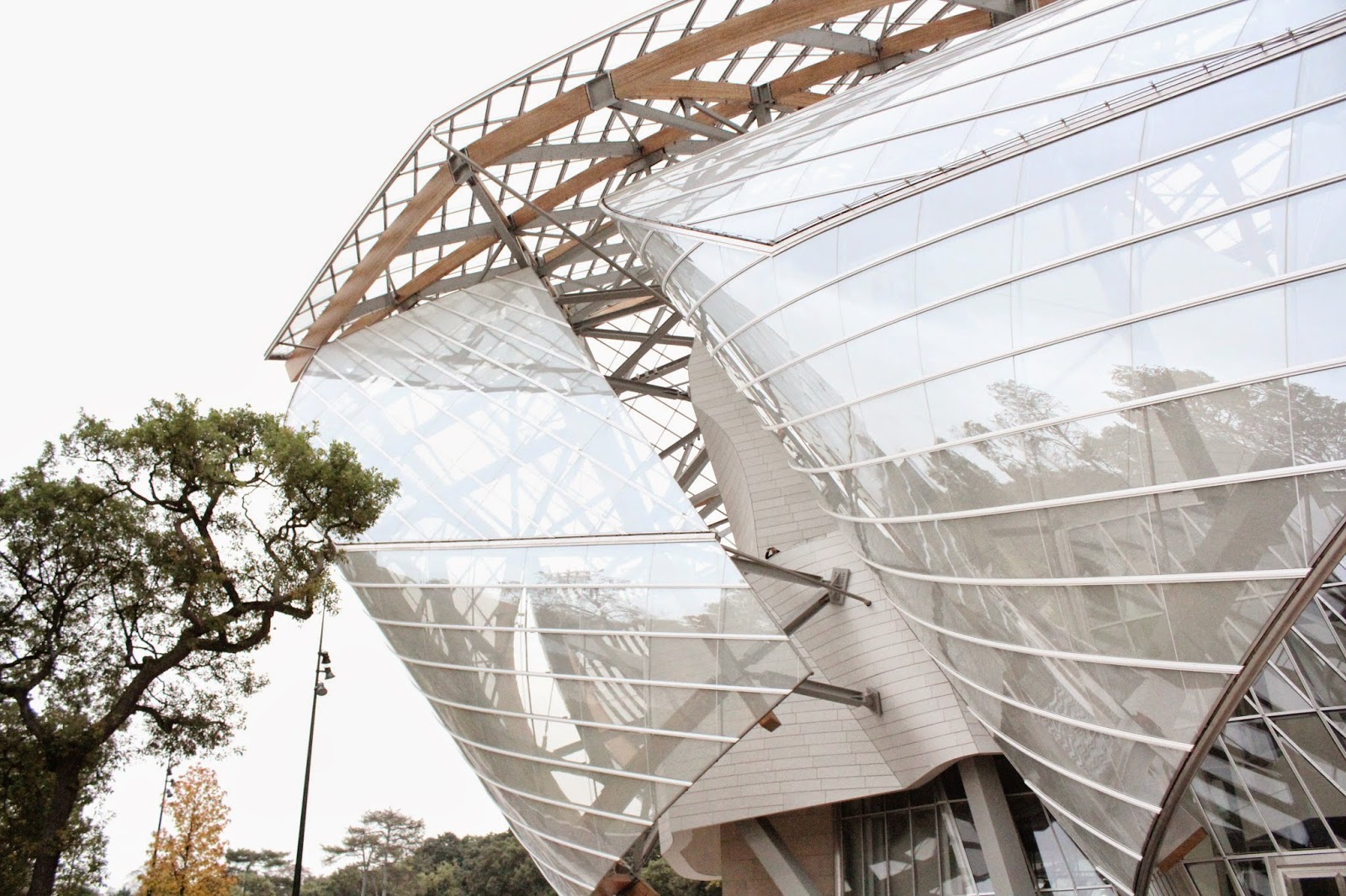 Chasing the Extraordinary: Louis Vuitton Foundation for Creation