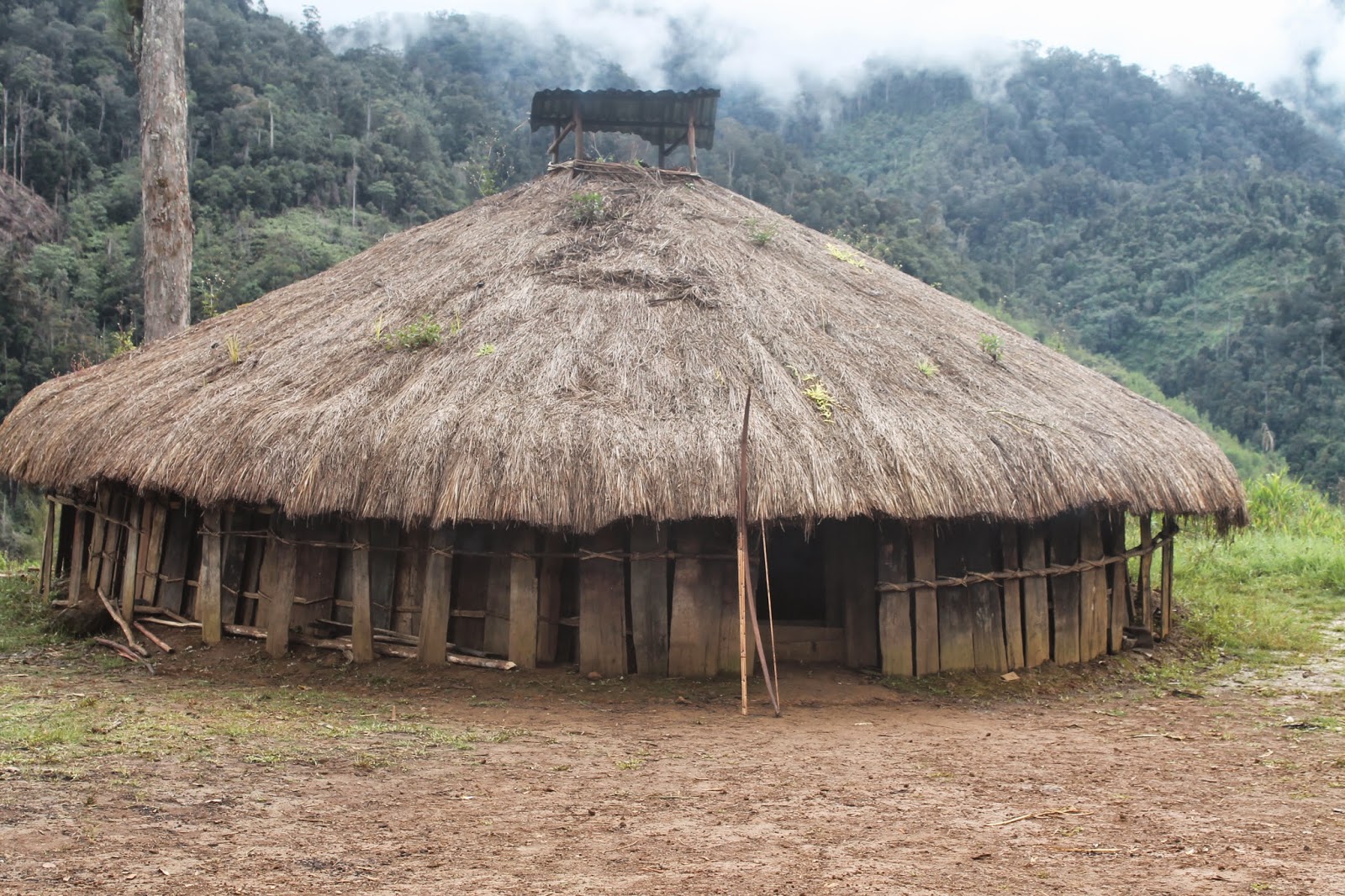 HONAI PAPUA Budaya Papua 