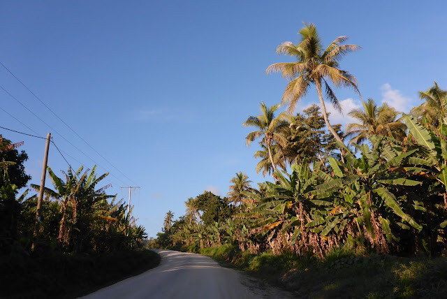 2016090165tanna.JPG