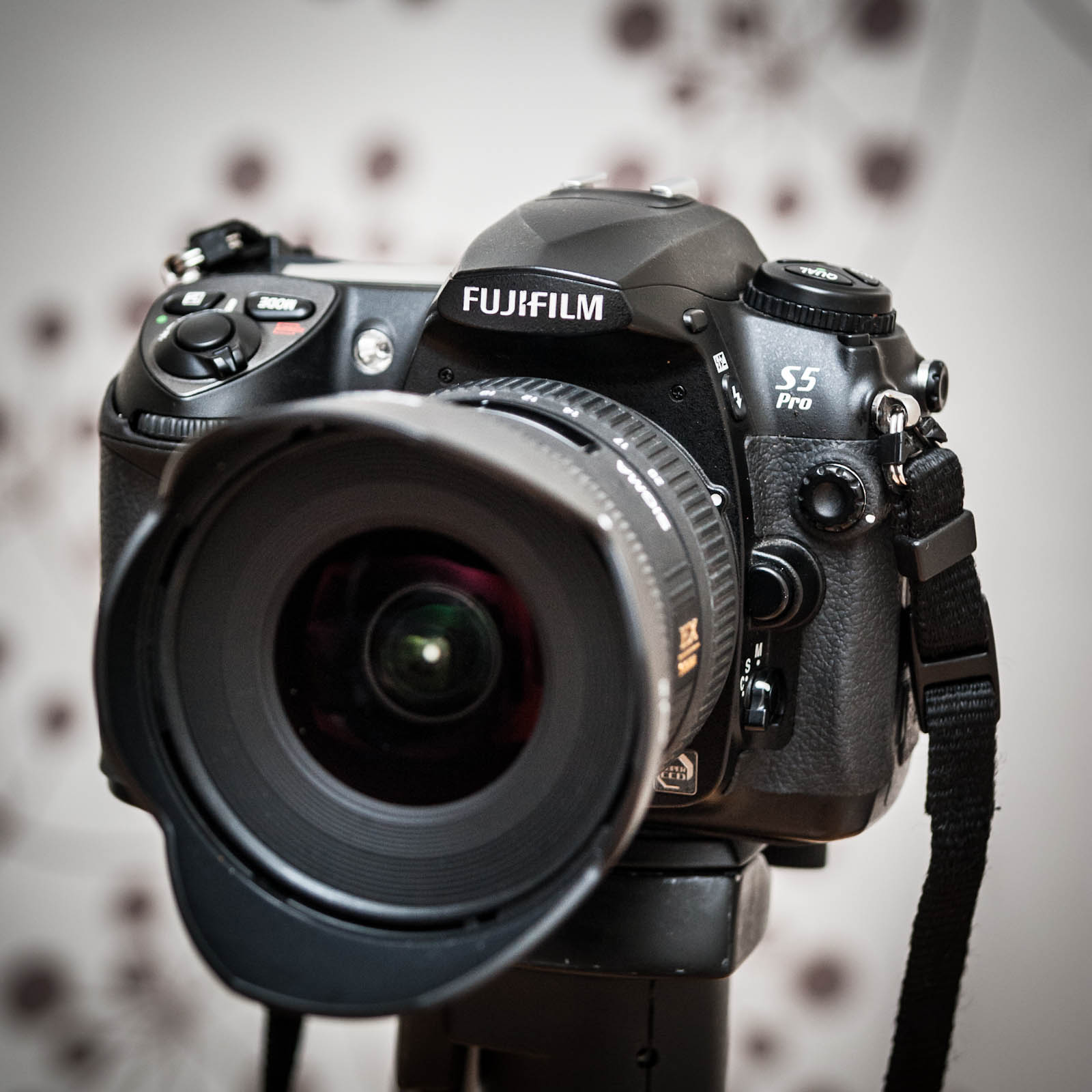 Gastheer van metaal Grappig Better Family Photos: My First Crush: the Fuji S5 Pro