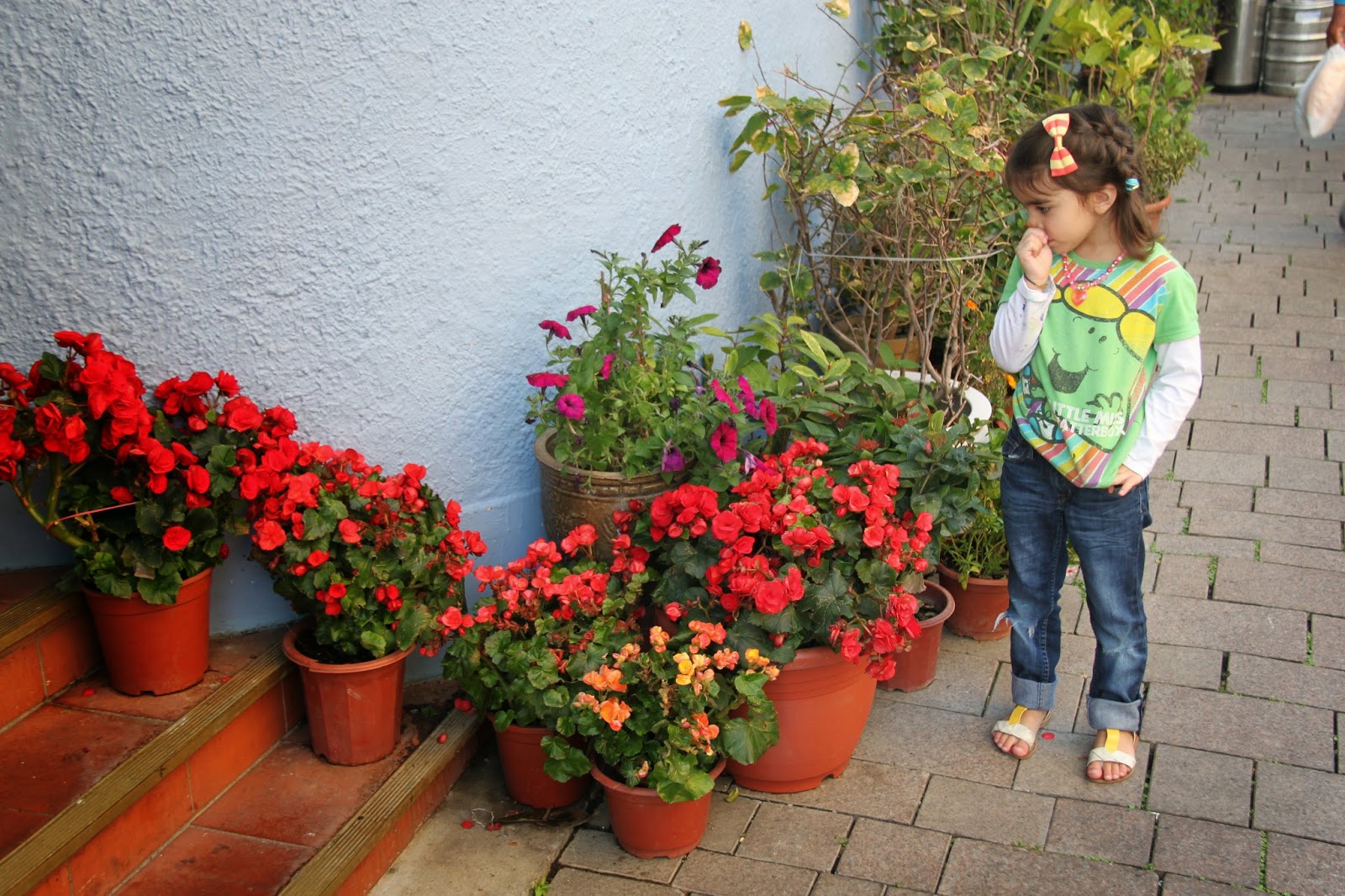 Through My Porch Window A Blog About Decorating Homesteading