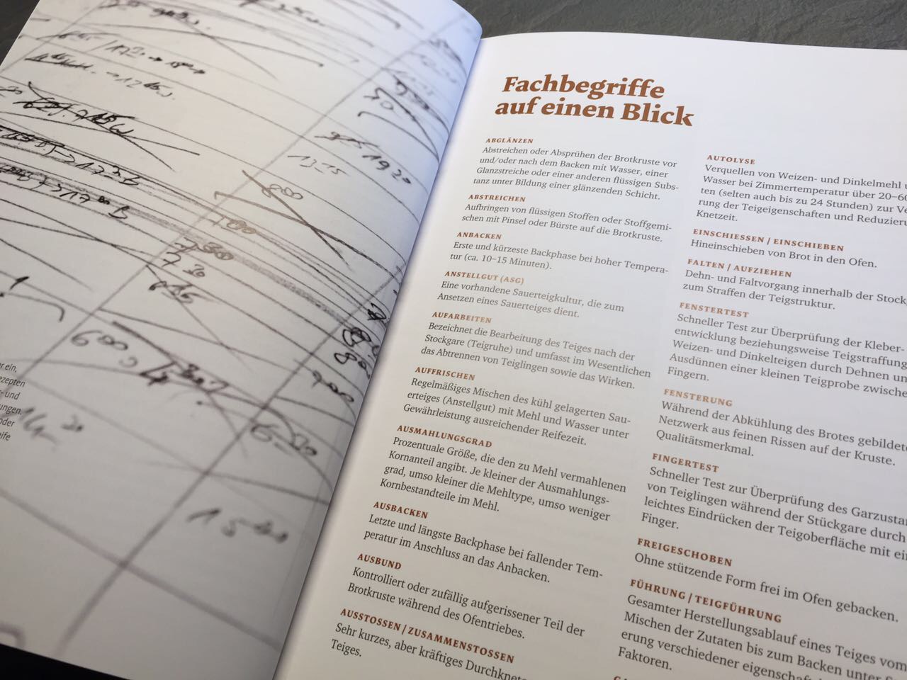 Brotbackbuch Nr. 1