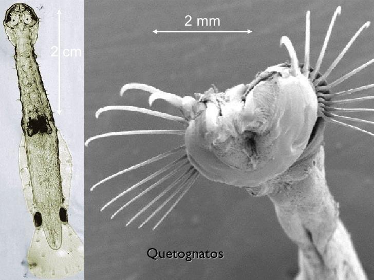 In-fo-Stires: 06/01/2017 - 07/01/2017