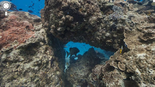Underwater view by Google maps 3