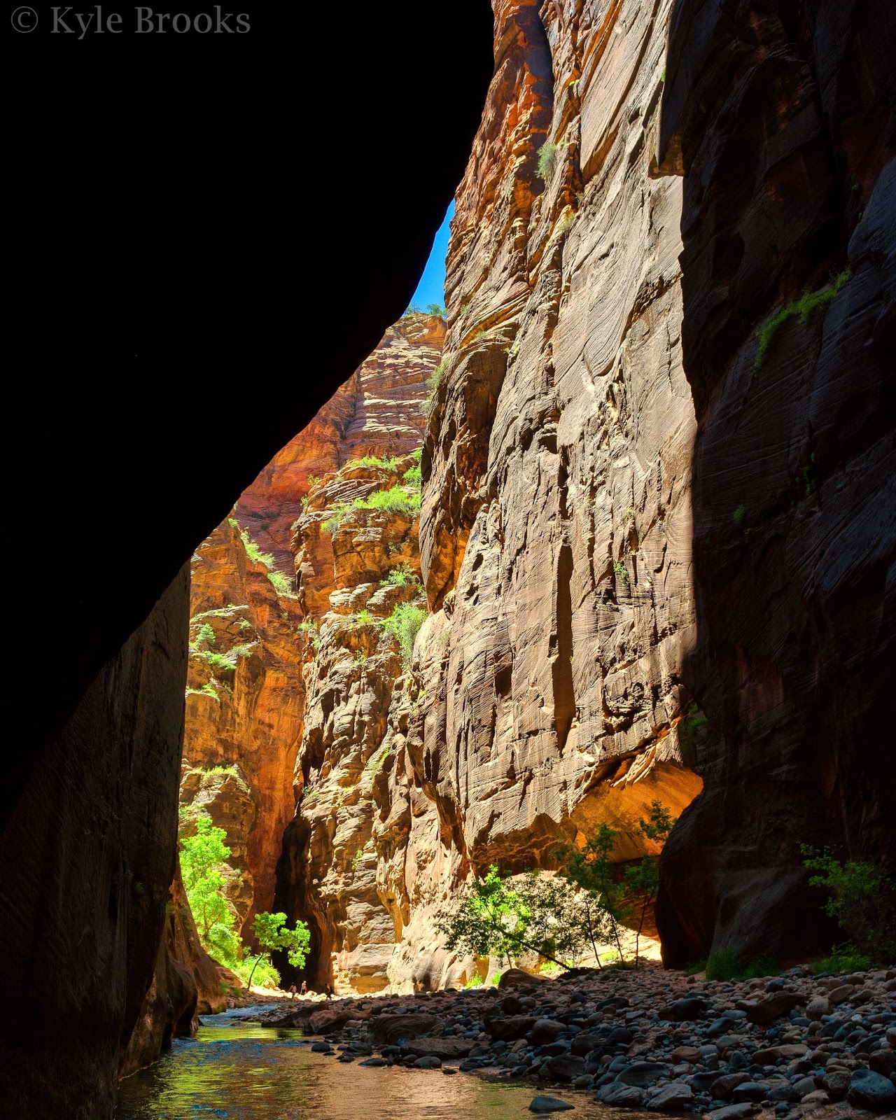 The Narrows Zion National Park