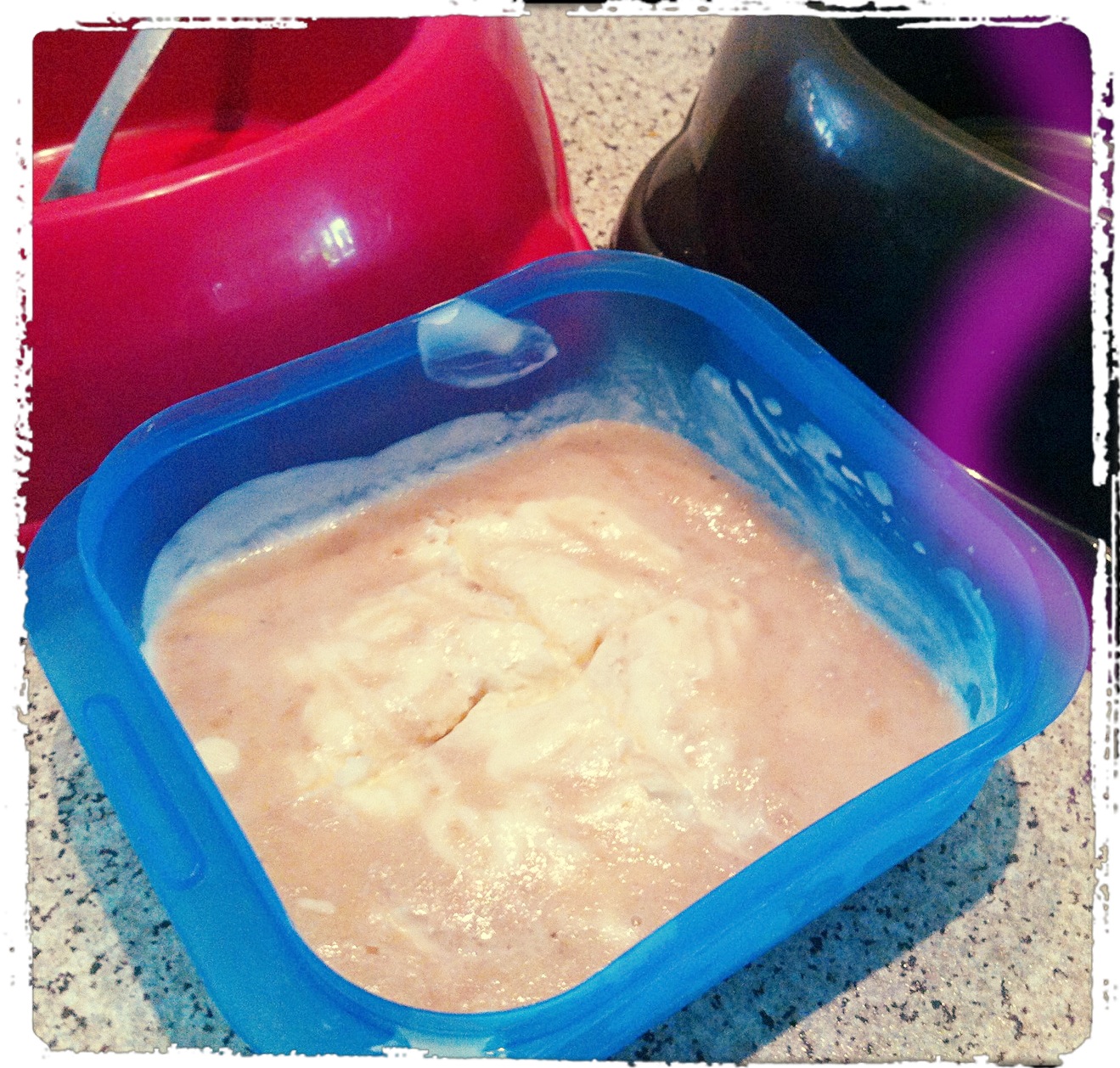 snoopandemily Selbstgemachtes BananenJoghurt Eis für Hunde