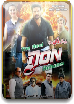 Rajadhi Raja Aka The Real Don 2014 Hindi Dubbed 720p DVDRip 1GB
