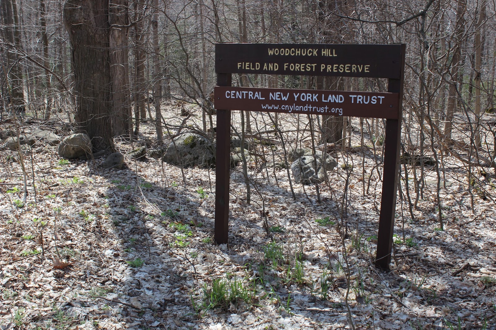 Sara Hikes... But Not Enough Easter Hike at Woodchuck Hill