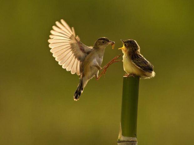 Banyak Anggapan Rezeki Itu Berupa Uang dan Harta, Ini Jenis Rezeki yang Allah Jamin Untuk Hambanya Banyak Anggapan Rezeki Itu Berupa Uang dan Harta, Ini Jenis Rezeki yang Allah Jamin Untuk Hambanya