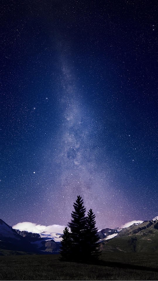 Beautiful Milky Way Lonely Tree  Android Best Wallpaper