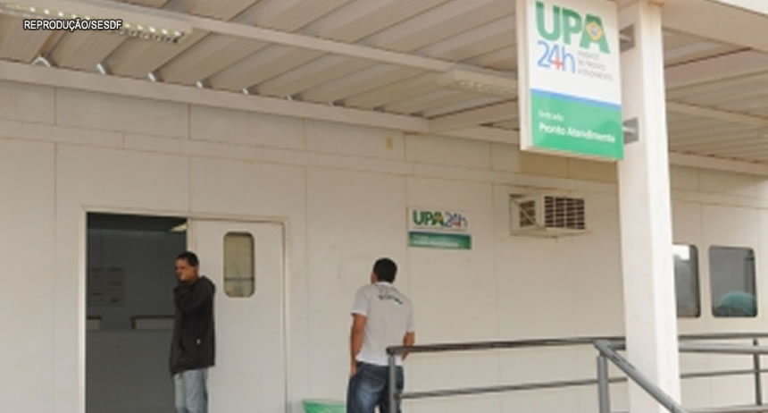 Resultado de imagem para upa de samambaia em pauta