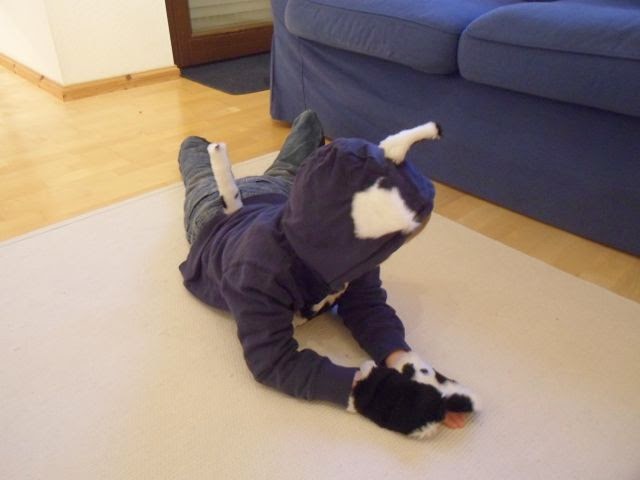 Die Kuh Macht Muh Die Katze Miau